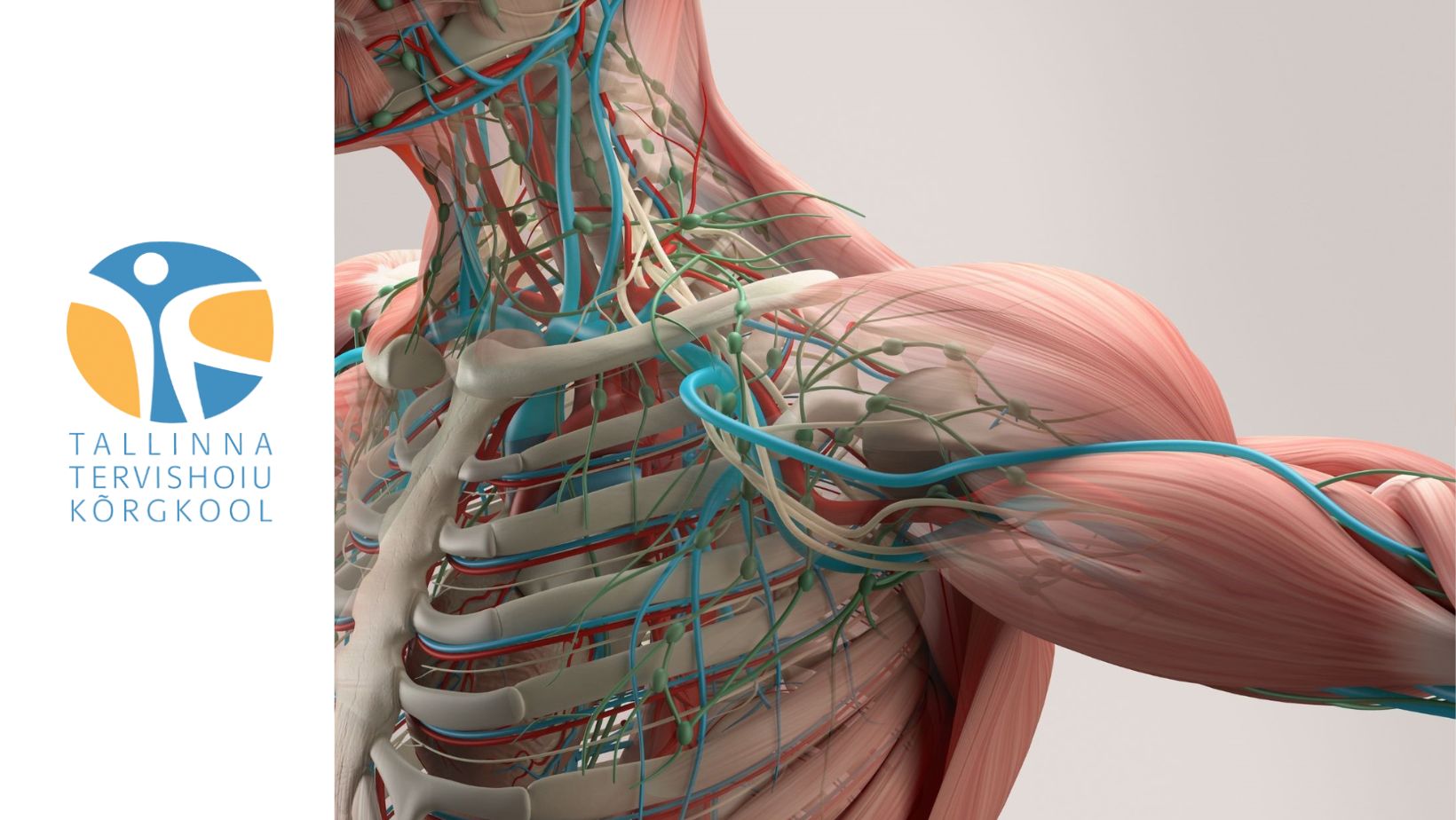 Anatoomia ja füsioloogia baaskoolitus