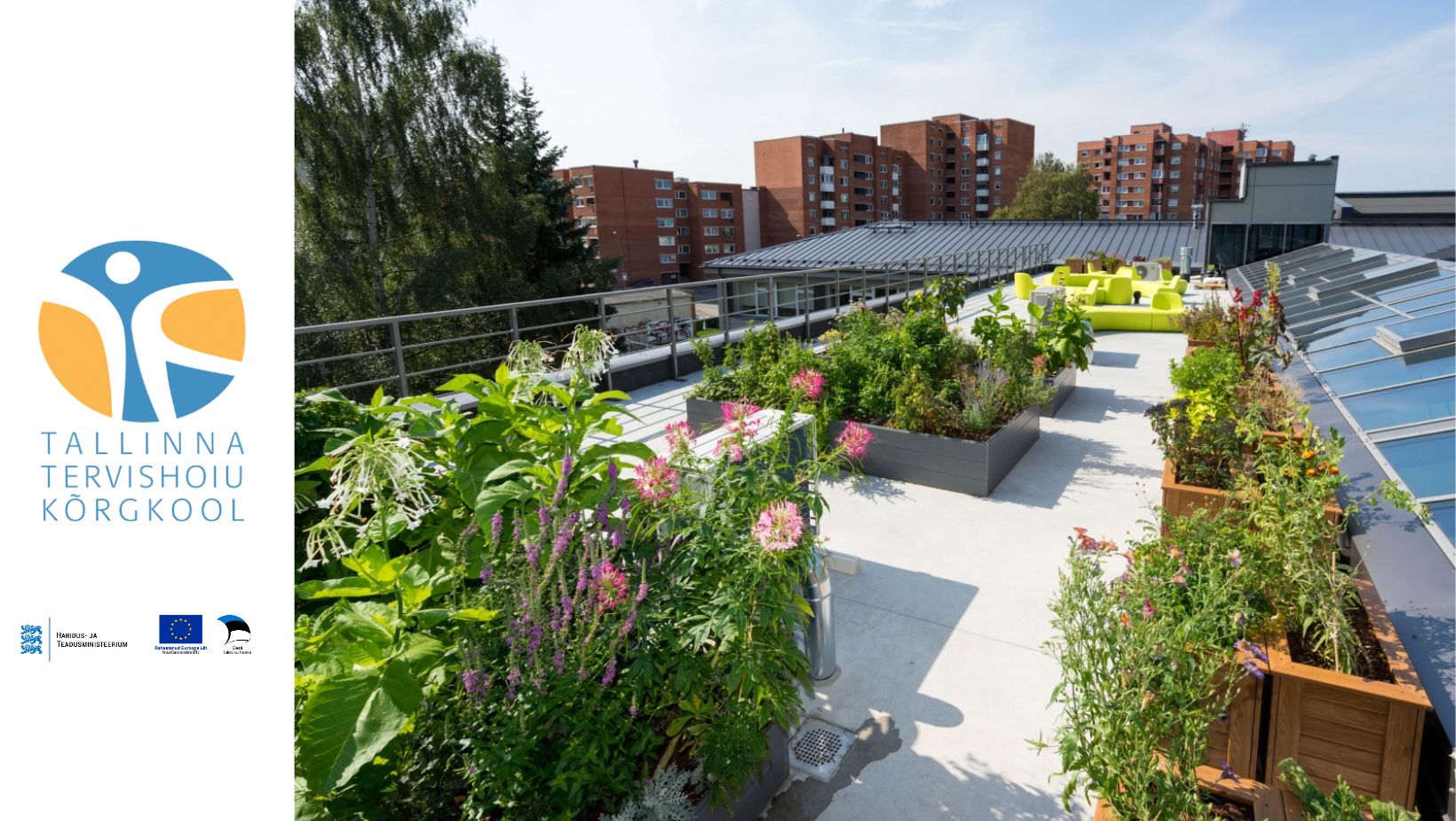 Roheteraapia põhimõtete rakendamine ettevõtetes