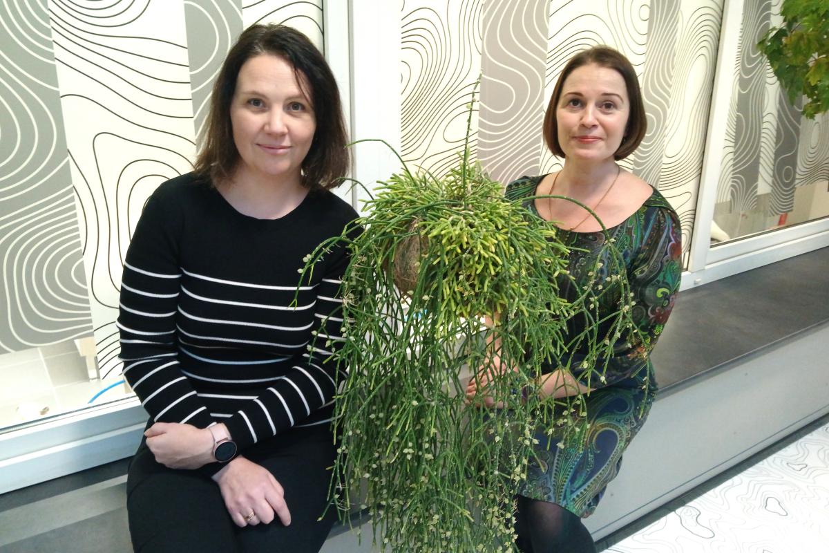 Saage tuttavaks – meie doktorandid