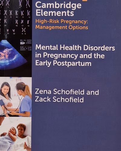 Mental Health Disorders in Pregnancy and the Early Postpartum 