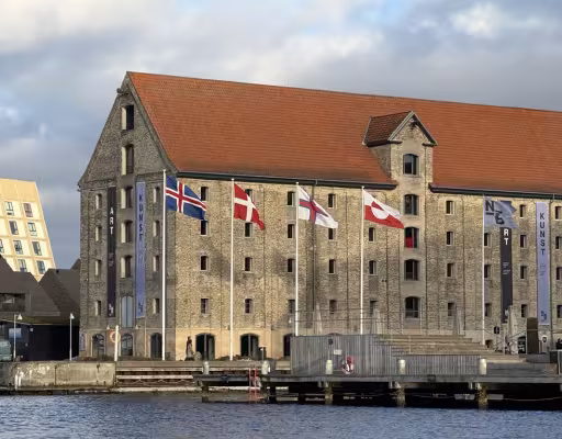 Jätkusuutlik tervishoid fookuses: tudengid Kopenhaagenis intensiivkursusel