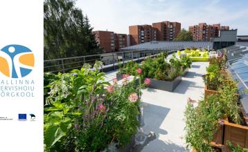 Roheteraapia põhimõtete rakendamine ettevõtetes